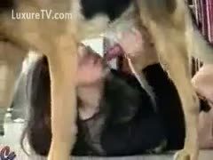 An adolescent virgin blowing a dog for specie